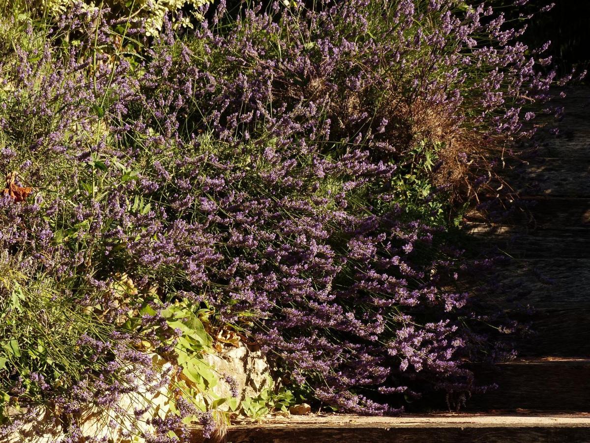 Bed and Breakfast O Tilia D'Azur Roquefort-les-Pins Esterno foto