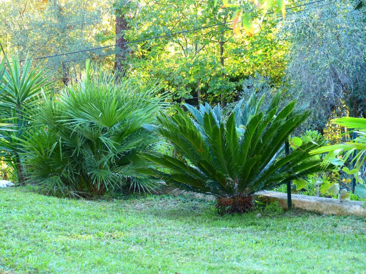 Bed and Breakfast O Tilia D'Azur Roquefort-les-Pins Esterno foto