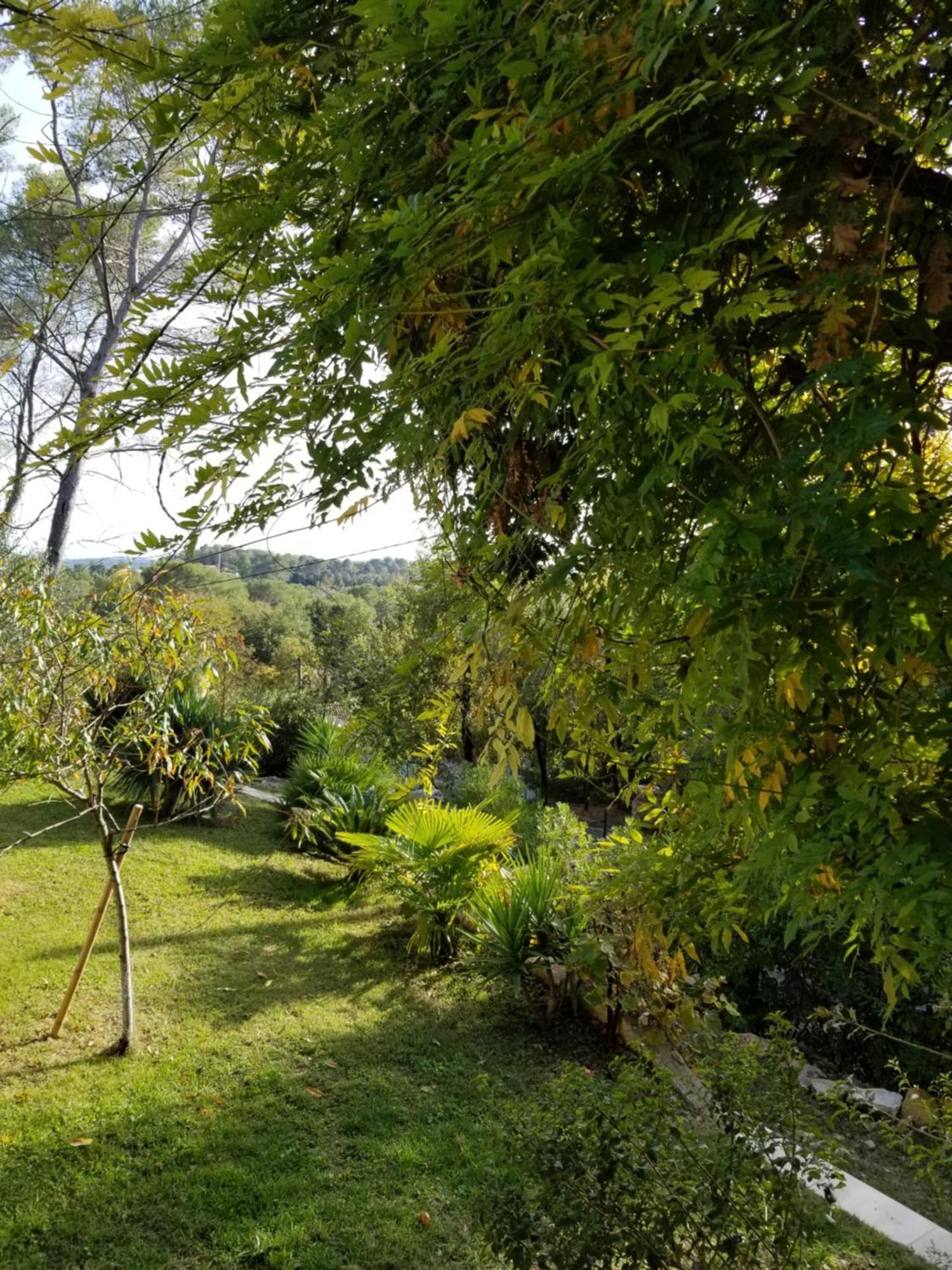 Bed and Breakfast O Tilia D'Azur Roquefort-les-Pins Esterno foto