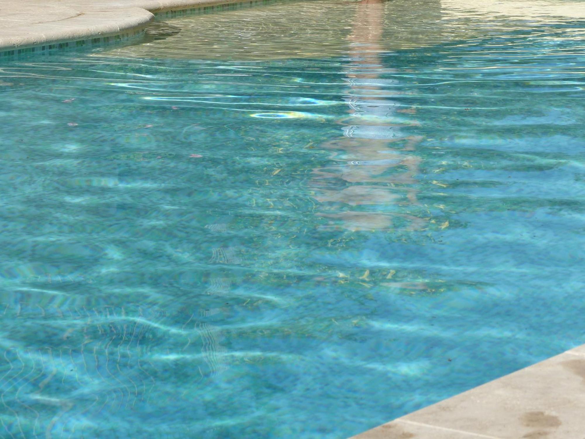 Bed and Breakfast O Tilia D'Azur Roquefort-les-Pins Esterno foto